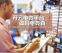 研发能力标题三