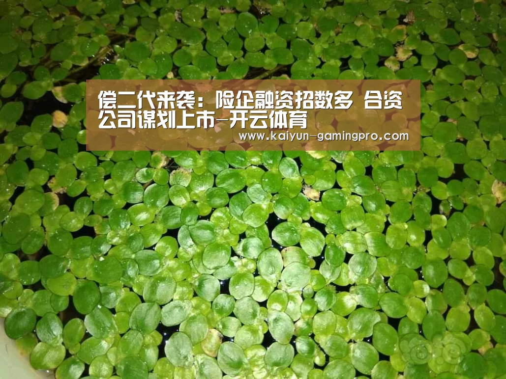 偿二代来袭：险企融资招数多 合资公司谋划上市-开云体育