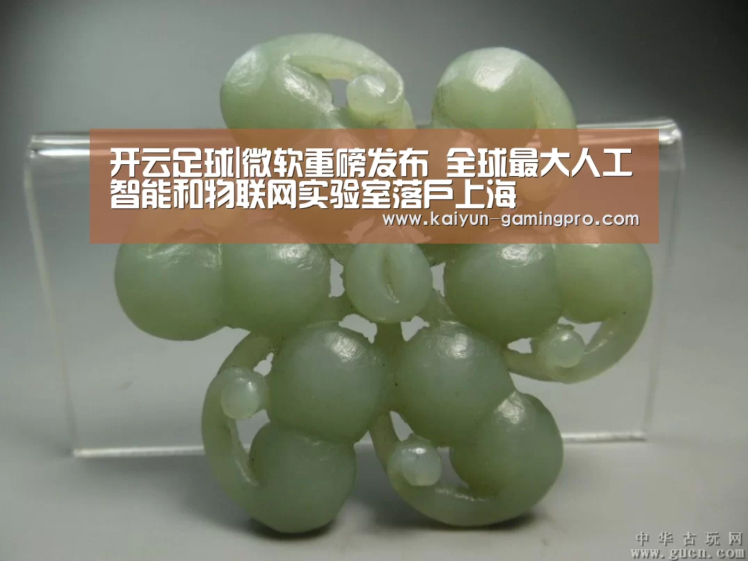 开云足球|微软重磅发布 全球最大人工智能和物联网实验室落户上