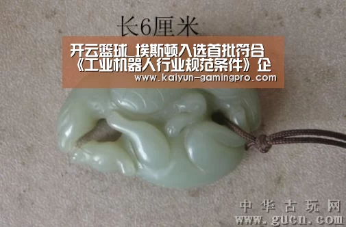 开云篮球_埃斯顿入选首批符合《工业机器人行业规范条件》企业(图1) 开云足球