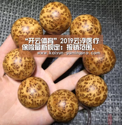 “开云体育”2019云浮医疗保险最新规定:报销范围、比例、缴费标准(图1) 开云篮球