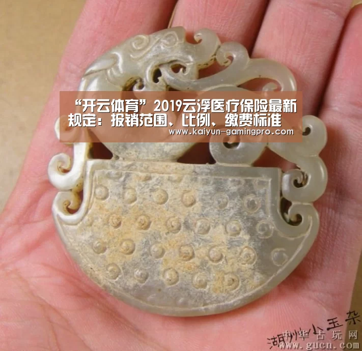 “开云体育”2019云浮医疗保险最新规定:报销范围、比例、缴费标准(图2) 开云体育