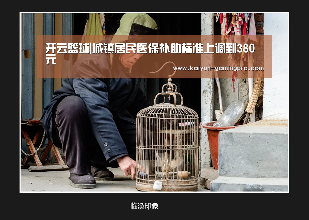 开云篮球|城镇居民医保补助标准上调到380元(图1) 开云体育